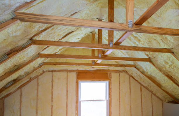 Best Insulation Maintenance and Repair in Panhandle, TX