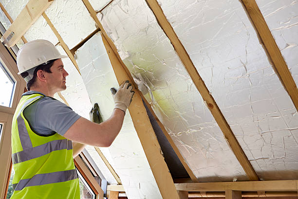 Best Residential Insulation in Panhandle, TX